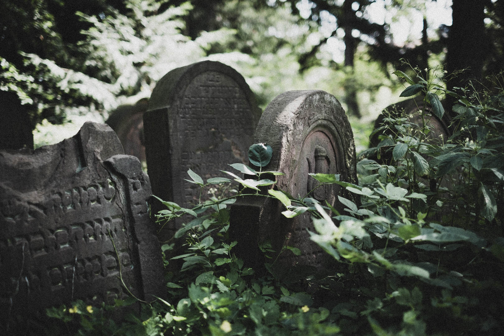 Hanau, Jüdischer Friedhof